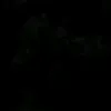 bomayvuanguvualuy