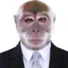 mrmonkeybac_