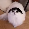angelyna_392