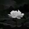 nguyenhy2017