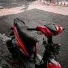 rafiepou
