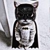 uh_cujo