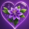 user6220280776706