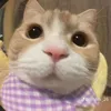 _tanzn