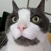 jellybeans0508