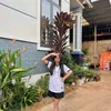 nqc_811