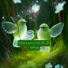 abumuhammad48196