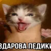 deljf0_