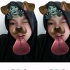 askaimup