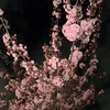 byokyakyu