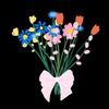 boshra_b2