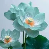 donghueanh