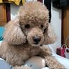 alan_19830928