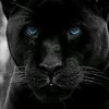 _huseyn_eli_10