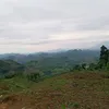 sangtc25