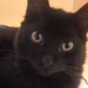 juan23_paw