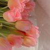 mzoon_557