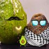 mystery_avocado
