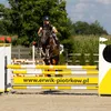 showjumping_zh