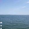 dyj8koceouzv