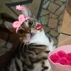 cumba.pylut