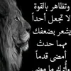 user2780044279186