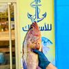 مطعم المرسى🐟 للأسماك وبومردم