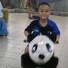 need__peacee