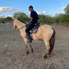 henriquealm7_