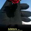 madinahali24