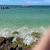 beachlife0805