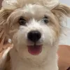 sob3rprinc3
