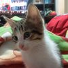 genny_8971