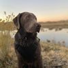 chit_m_waders