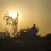roog__2