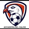accademiadelcalcio971