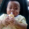kemly335