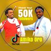 amiko599oro