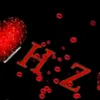 dys3l2y1scfs