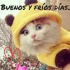 juanjuanjuan916