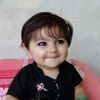 mohammadibrahim3695