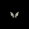 flybutter155