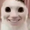 gaynhattiktok_