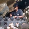 ye.lin.aung5431