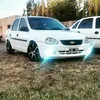 miguelvera311