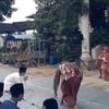 penggoreng_handalll