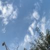 ziad_1406