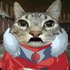 cat_thragg09