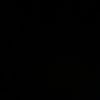 nona_n1408