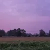 fraukehrlf